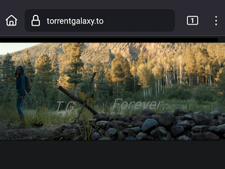 TorrentGalaxy.to seems to be down